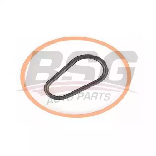 BSG Vakum Pompa Oring Takımı 4556.24 Peugeot Euro 5 Dı 30-235-008