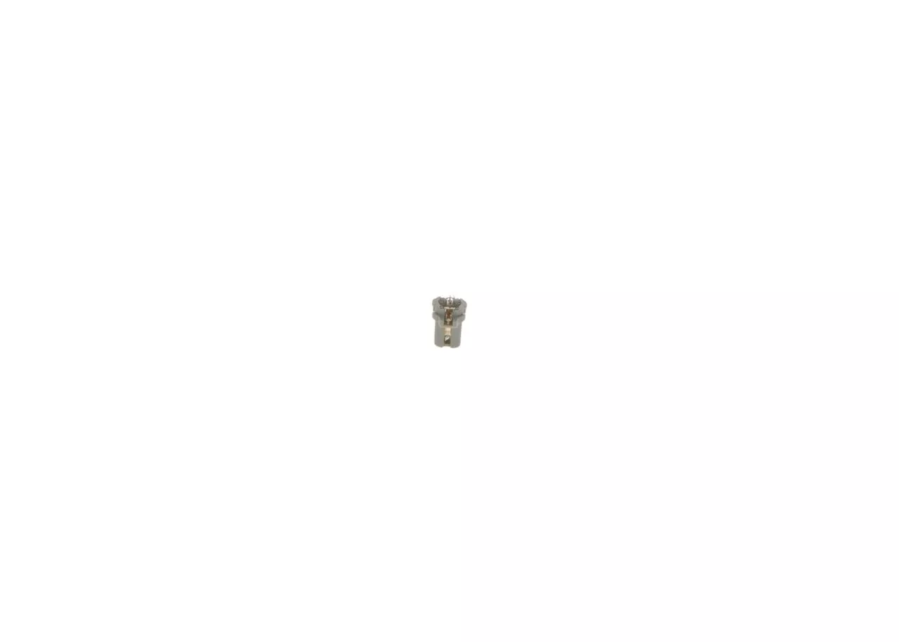 BOSCH Ampül 24V 1.2W Soket 1987302515 1144495. Görsel